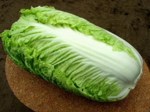 lsalatik